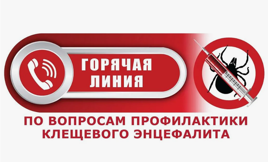 2025-04-22_08-27-25.png